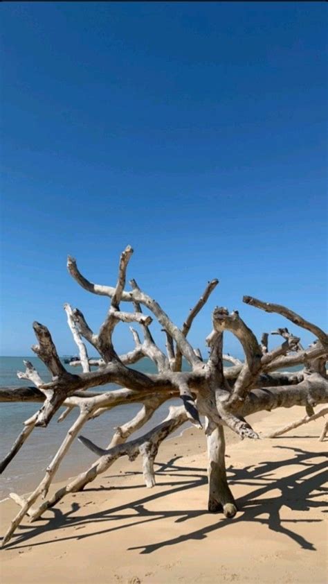 Catarina Gavassi Via Instagram Beach Nature Summer