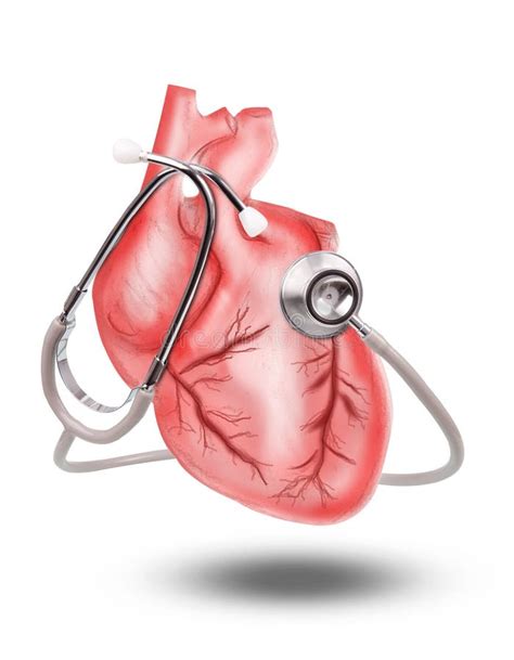 Stethoscope Heart Wallpaper