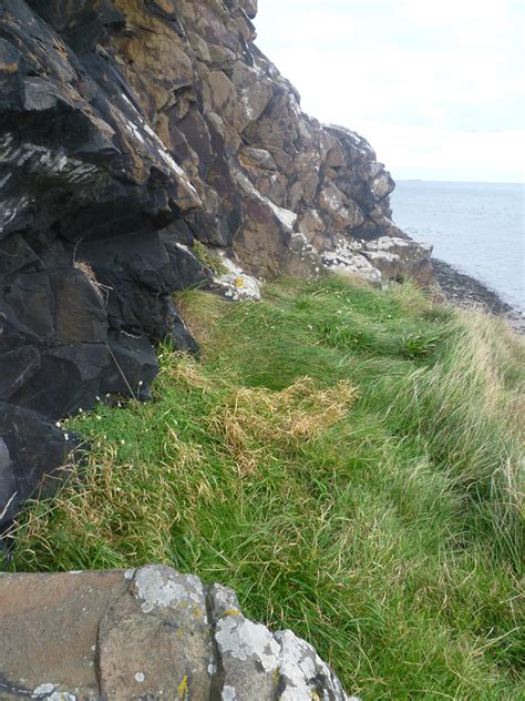 Lindisfarne the ruins of monastery | Celtic Glory