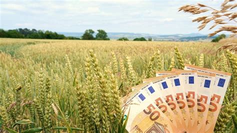 Les Différents Modes De Financement De Linstallation En Agriculture