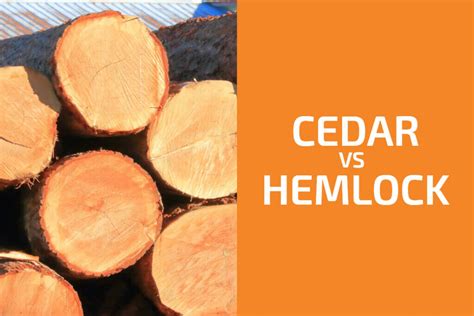 Cedar Vs Hemlock Which One To Use Handyman S World