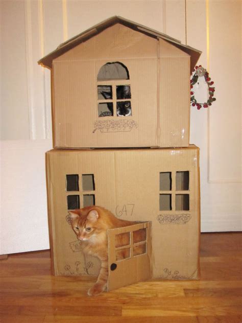 Bored Quarantined Owners Have Started Putting Cats In Cardboard Forts…