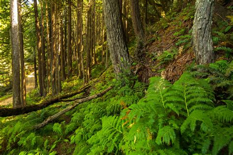 natural world   state  harmony   humans photo requests  solitary