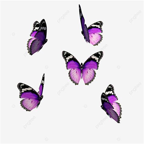 Butterfly Group Clipart PNG Images, A Group Of Purple Butterflies ...