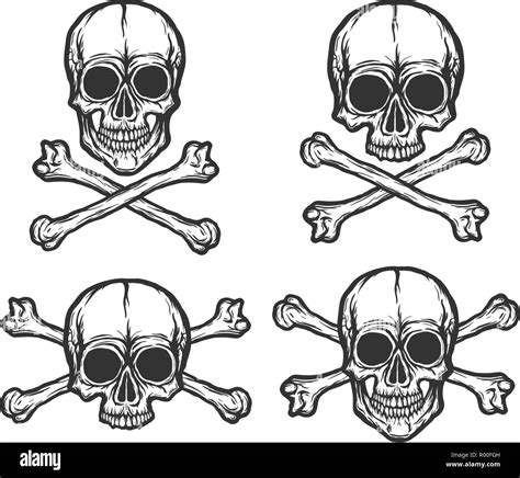 Human Skulls Vector Set Stock Vector Image And Art Alamy