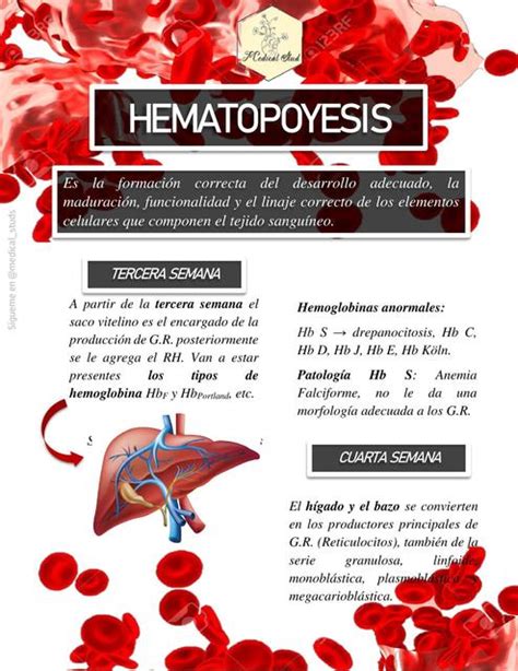 Hematopoyesis Medical Studs Medical Studs UDocz