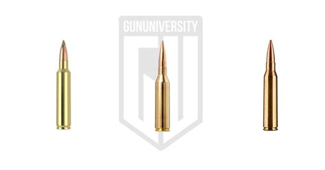 300 Norma Mag Vs 338 Lapua Vs 30 Nosler Gun University