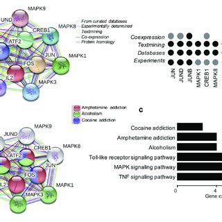 | Functional protein-protein network analysis of FOS gene using STRING... | Download Scientific ...