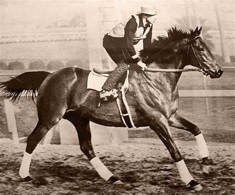 26 best images about War admiral on Pinterest | Racing, Horse racing ...