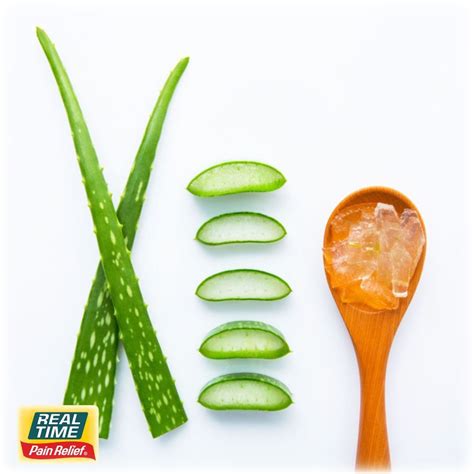 6 Health Benefits Of Aloe Vera Real Time Pain Relief