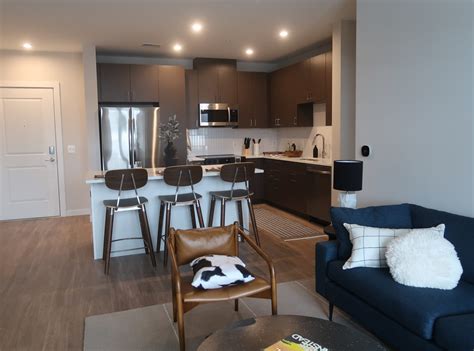 Leasing underway at Alta Nova apartments - Annandale Today