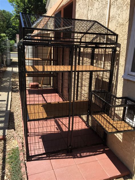 Pin By Lili Wright On Outdoor Pet Enclosure In Pet Enclosure