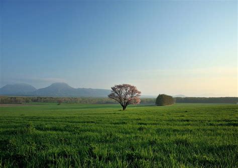 Akan Mashu National Park - Japan Travel Guide - Japanspecialist