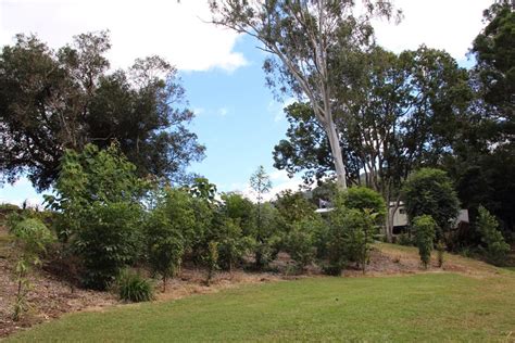 Canungra Showground Cg Full Range Camping Directory