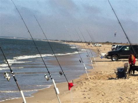 Beach Plum Island Delaware Surf