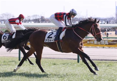 【pog】ナヴォーナ 豪脚披露で圧勝 矢作師「血統的にも期待している馬」競馬・レースデイリースポーツ Online