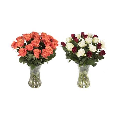 Mixed Bulk Roses 50cm 20 Stems Za