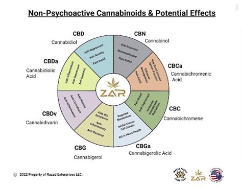 How Different Cannabinoids Will Affect You A Comprehensive Comparison