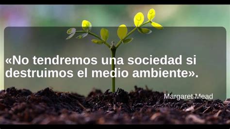 Frases Para El Medio Ambiente