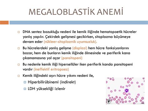 Ankara T P Fak Ltesi Hematoloji Bilim Dal Ppt Indir