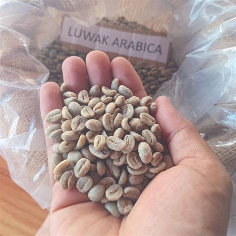 Jual Kopi Luwak Arabika Ijen 1kg Shopee Indonesia