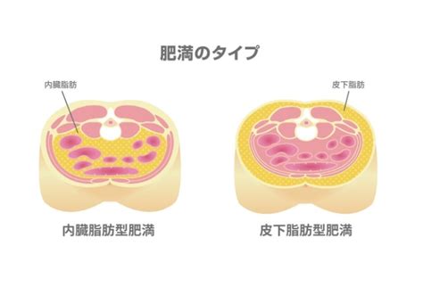 男性の「皮下脂肪」と「内臓脂肪」の見分け方｜放置するとどうなる？解消法も Medicalookメディカルック