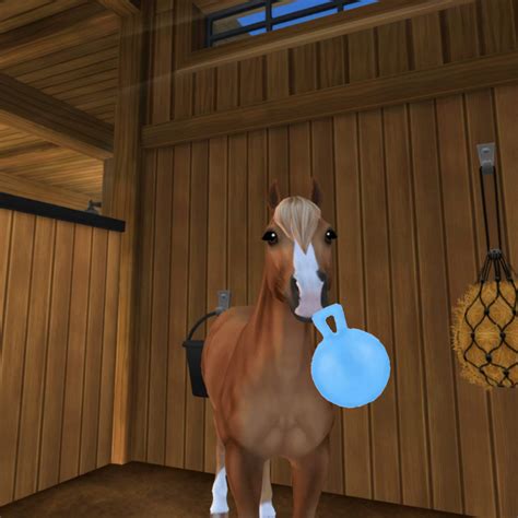 Summer Wiki Star Stable Online Amino