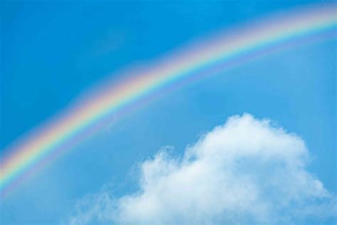 The surprising story behind why ripie became so popular online 11