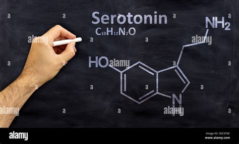 Formule Chimique Structurale De S Rotonine Dessin La Main Avec Une