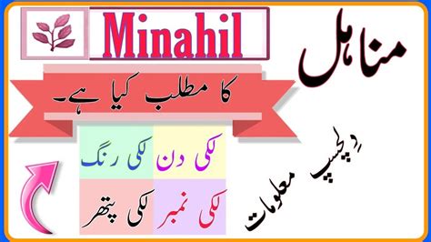 Minahil Name Meaning In Urdu Girl Name مناہل And Status And Many More