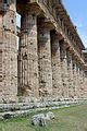 Category Temple Of Poseidon Paestum Architectural Details