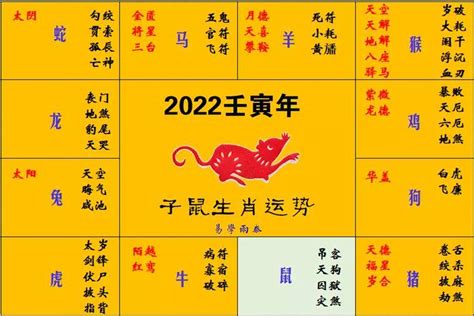 2022虎年十二生肖运程生肖鼠 搜狐大视野 搜狐新闻