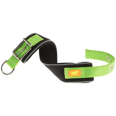 Collar Para Perros Daytona Confort VLM