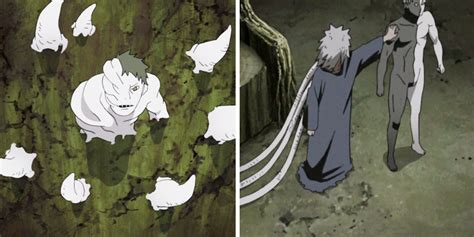 Naruto: White Zetsu And Black Zetsu, Explained