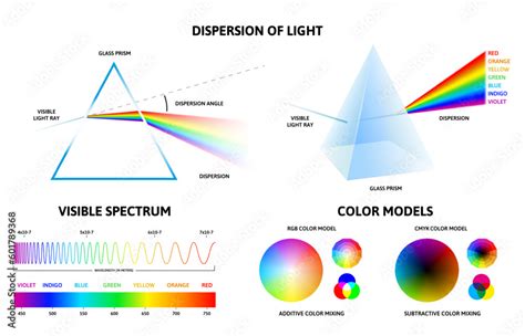 Vetor De Light Spectrum Infographic Physics Of Rays Reflection Inside