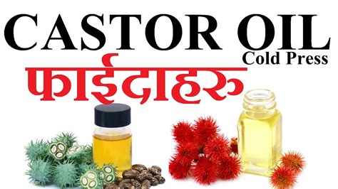 Benefits Of Cold Press Castor Oil In Nepali कोल्ड प्रेस क्यास्टर तेलको