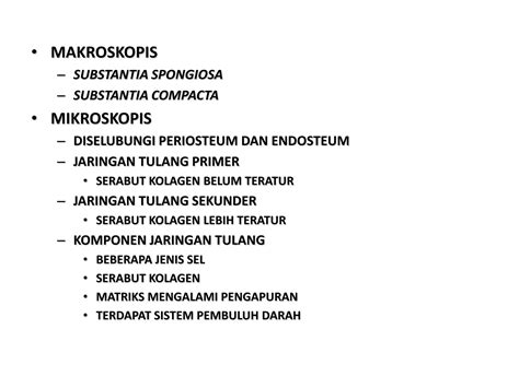 jaringan tulang pptx