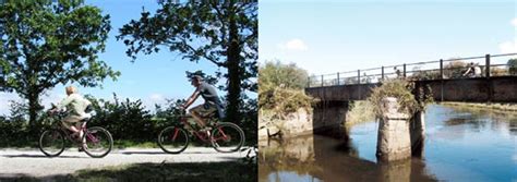 The Camel Trail Cycle Route Padstow Bicycling In Cornwall