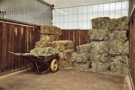 selecting quality hay  horses stable management