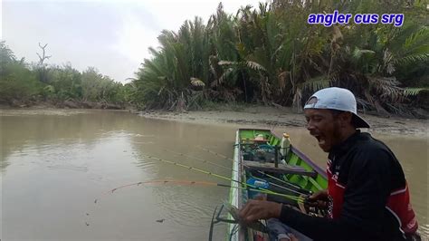 Sangat Jelas Perbedaan Mancing Udang Di Air Asin Dan Tawar Spot Terbaik