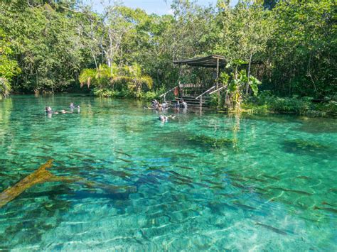 Lugares Mais Bonitos Do Brasil Dicas Top Nascente Azul