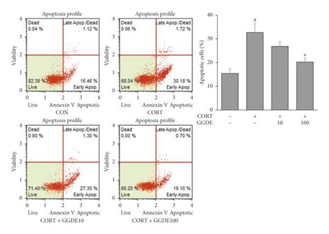 Effects Of Ggde On Cort Induced Neurotoxicity In Pc12 Cells A