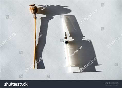 Drug Opium Poppy Inside Syringe Deadly Stock Photo 1491599387