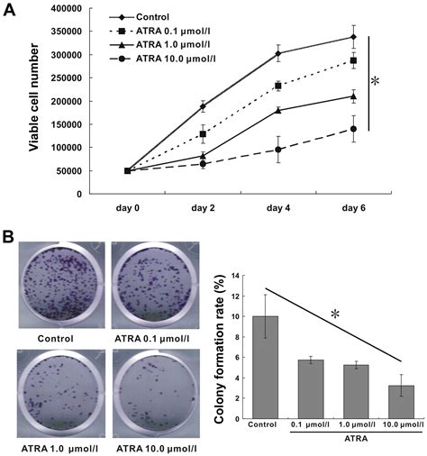 All Trans Retinoic Acid Inhibits Proliferation Migration Invasion And