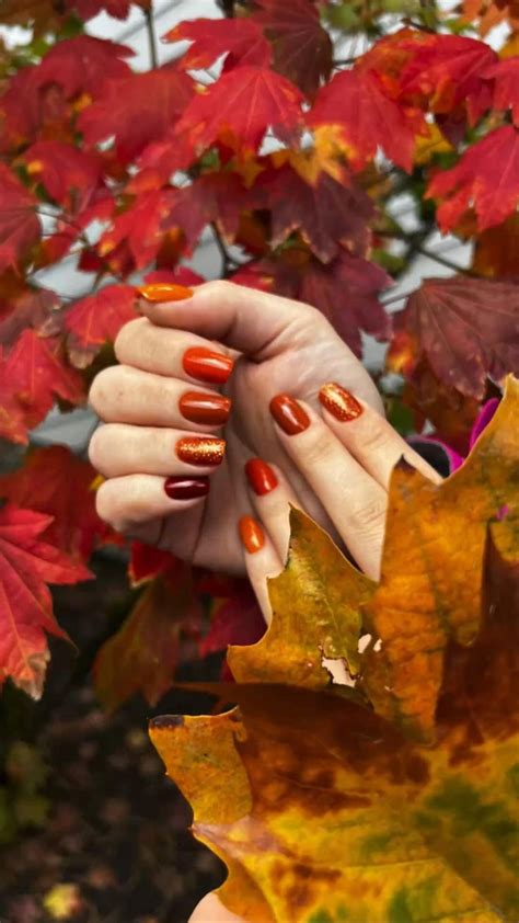 Beautiful fall colors | Beautiful fall, Fall colors, Color inspiration