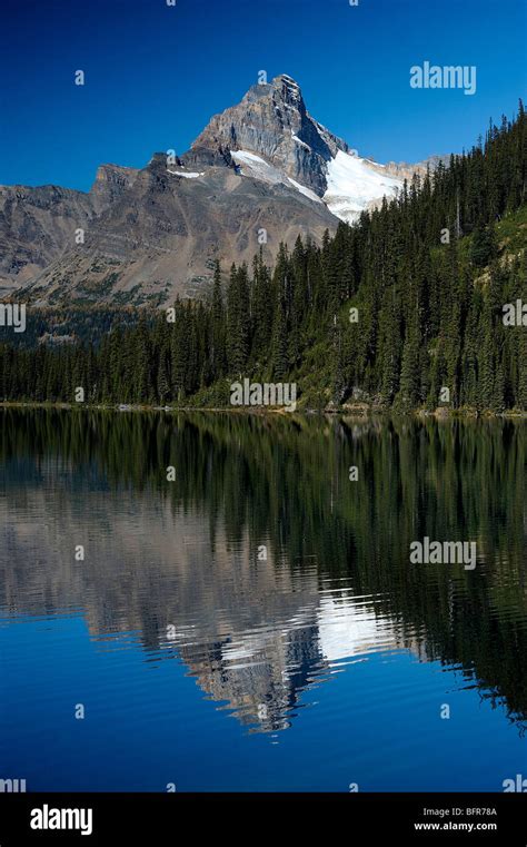 Cathedral Mountain Bc Hi Res Stock Photography And Images Alamy