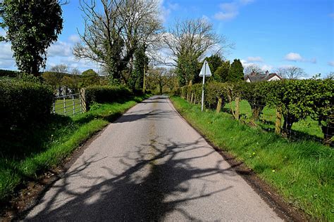 Tree Shadows Along Derrynaseer Road Kenneth Allen Cc By Sa