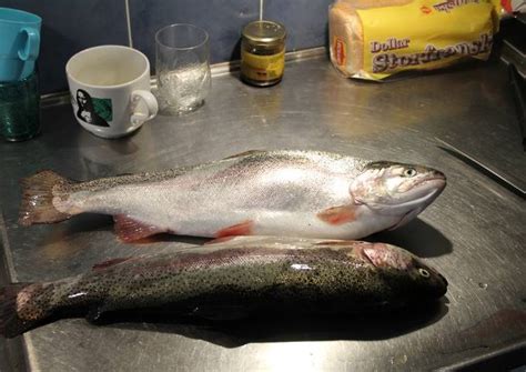 Trucha O Trucha Arco Iris Al Horno Con Papas Receta De Jorge Georg Cookpad