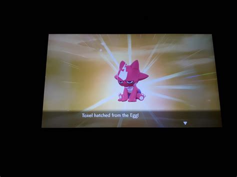 [8] shiny toxel after 820 eggs. Was hoping for less but hey at least ...