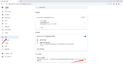 谷歌浏览器如何翻译英文网页怎么开启自动翻译英文网页功能 天极下载